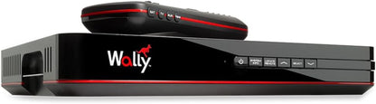DT4450 DISH Tailgater Bundle - Portable/Roof Mountable Satellite TV Antenna and DISH Wally HD Receiver , White , Western & Eastern Arc Satellites